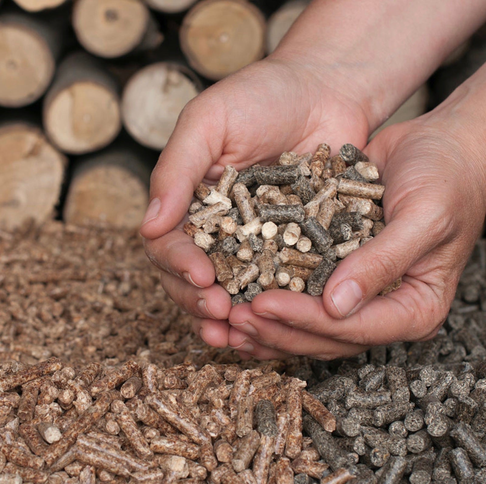 hands holding pellets