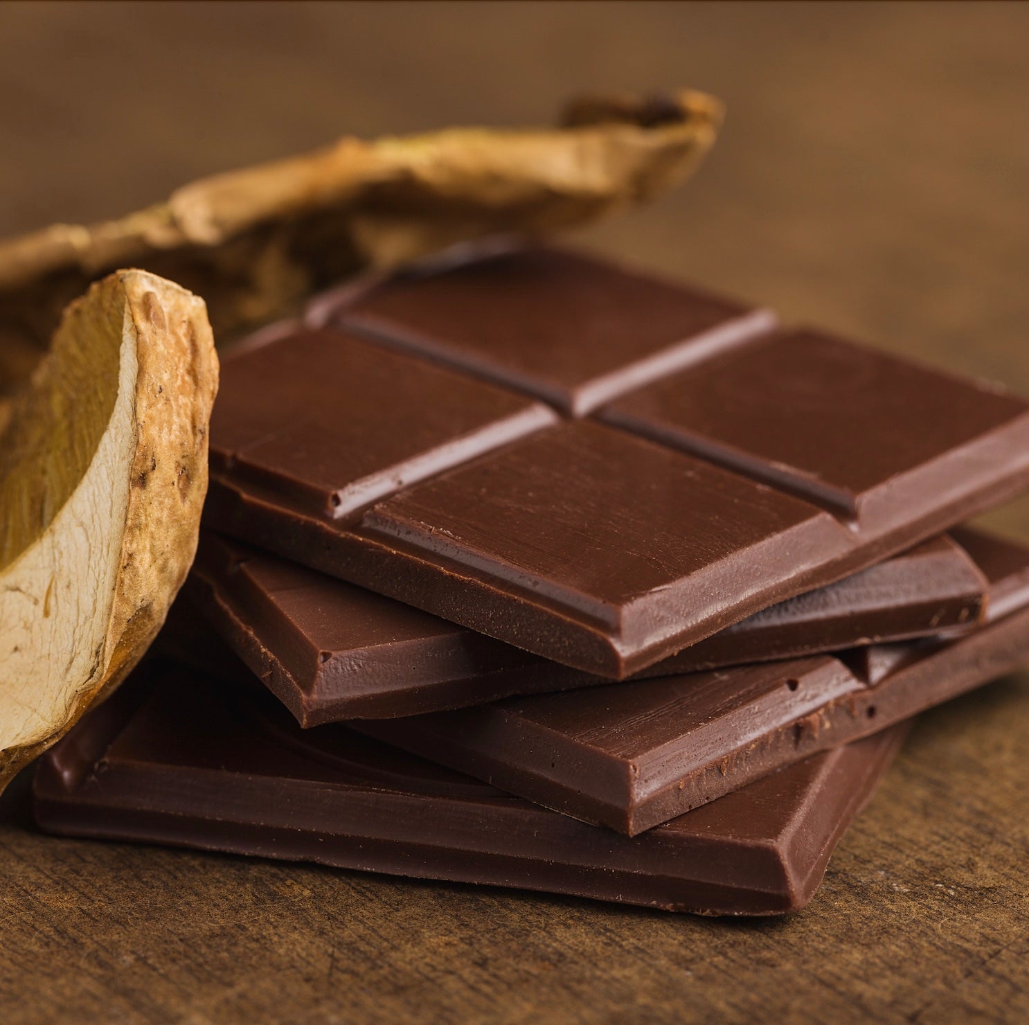 functional mushroom chocolate