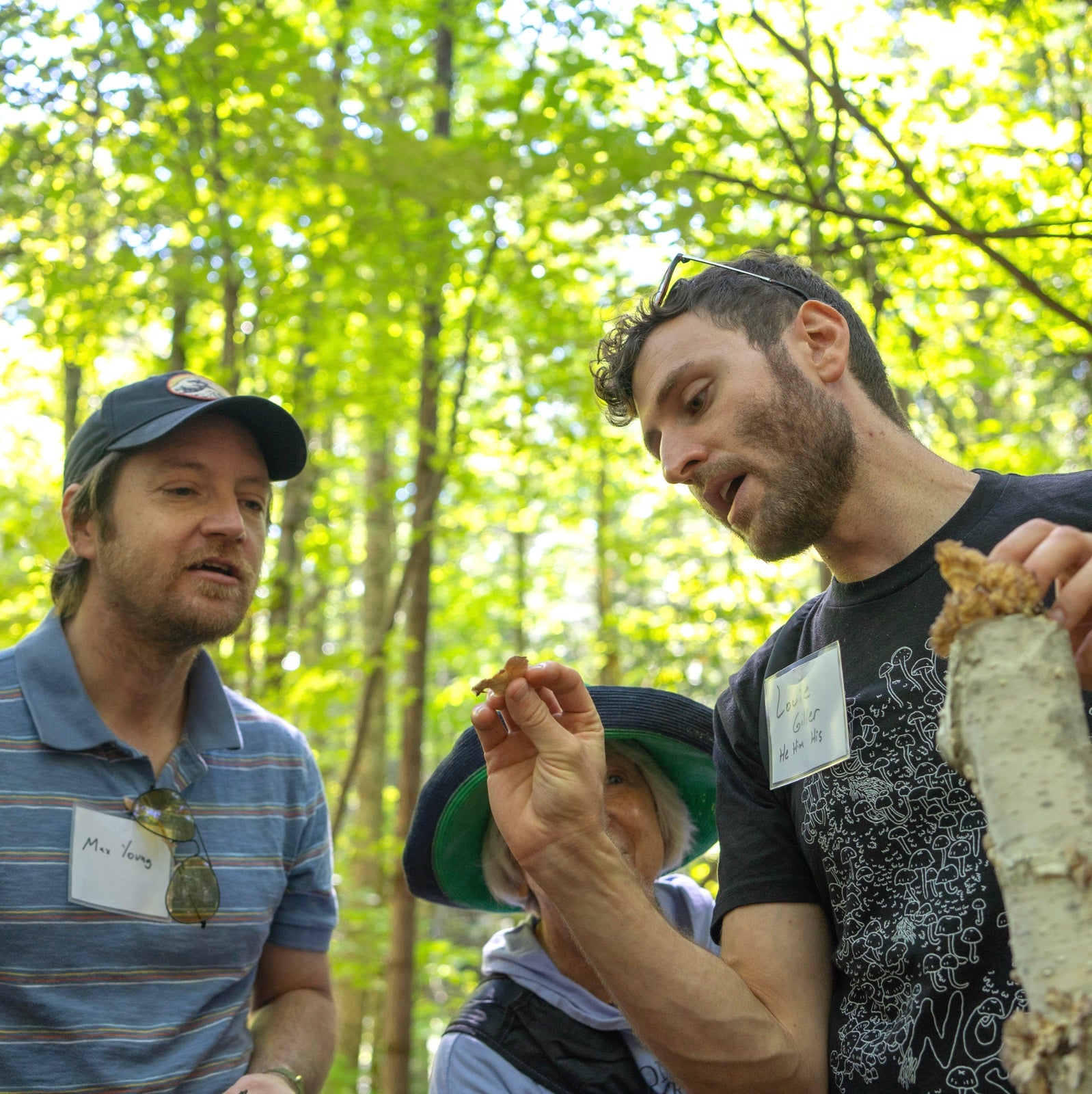 inspecting mushrooms on a foraging excursion