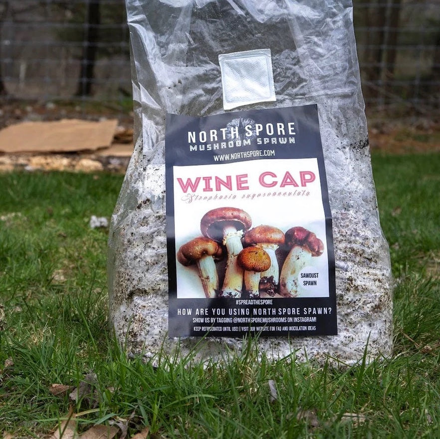 bag of wine cap spawn sitting in grass