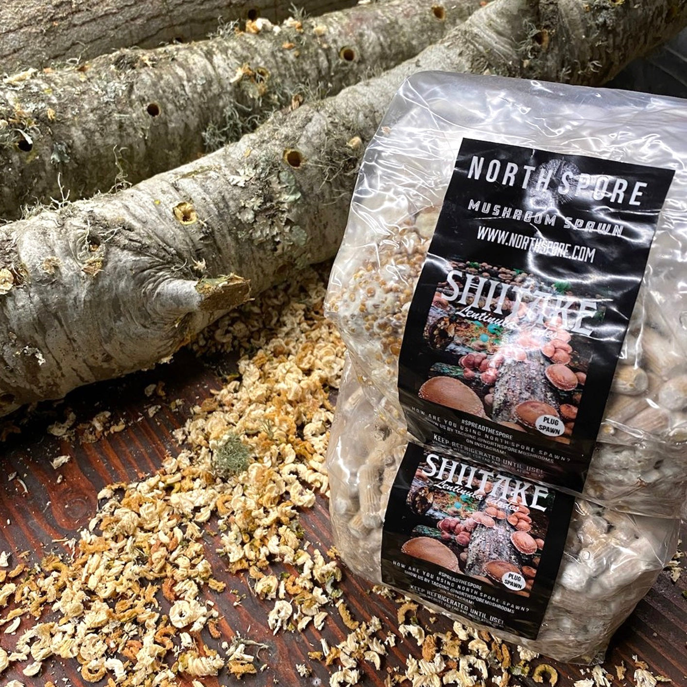 bag of shiitake mushroom plugs sitting next to logs
