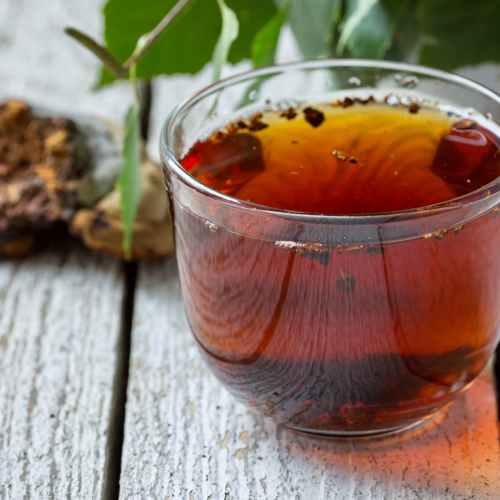 cup of chaga tea