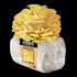 Organic Golden Oyster Mushroom Grow Kit Fruiting Block