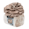 Organic Italian Oyster Mushroom Grow Kit Fruiting Block