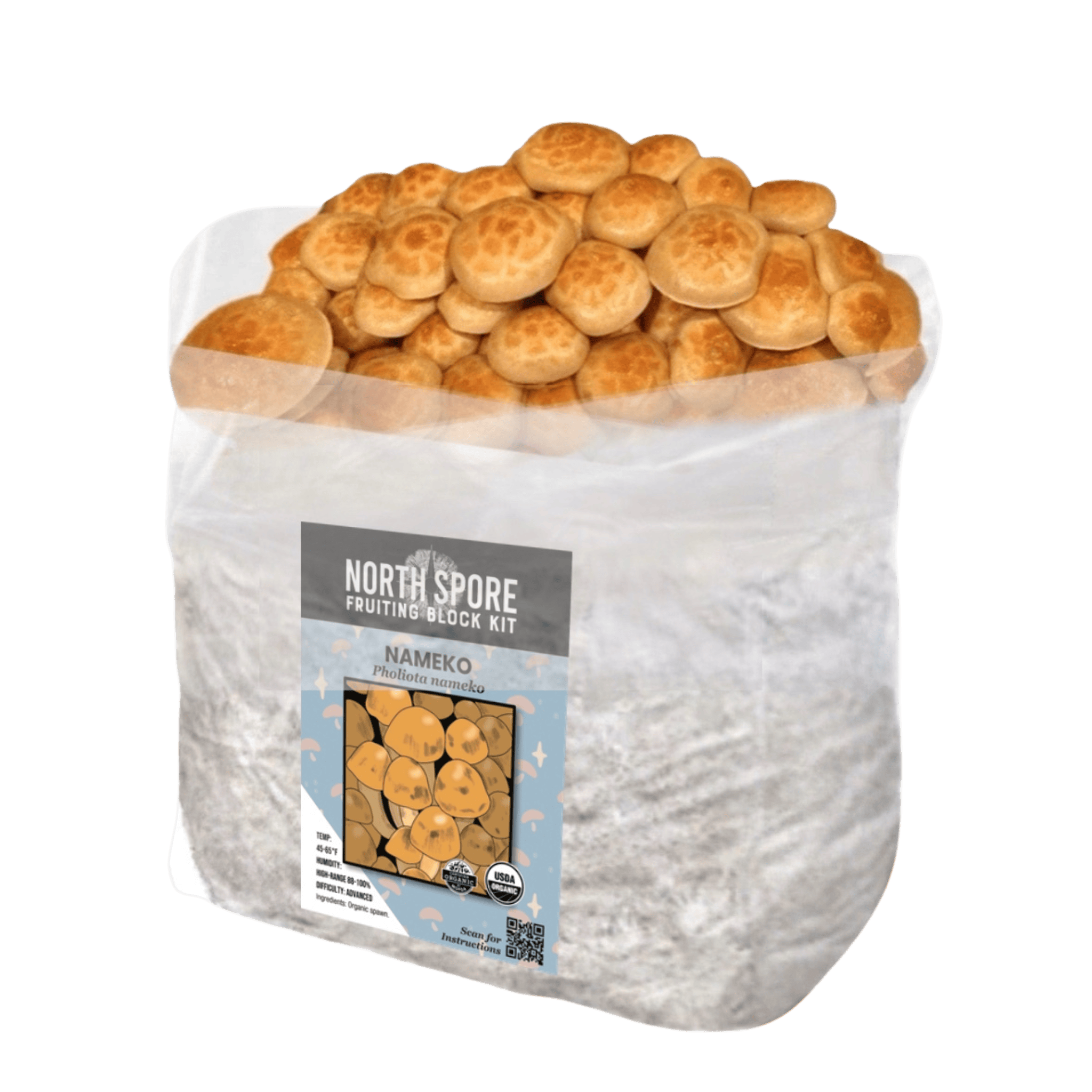 ダイエット・健康 nameko Organic Nameko Fruiting Block | Mushroom Growing Kit – North Spore