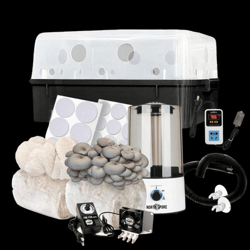 Automated 'Boomr Bin' + Fruiting Blocks Monotub Mushroom Grow Kit