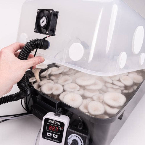 Beginner Automated 'Boomr Bin' + CVG Monotub Mushroom Grow Kit