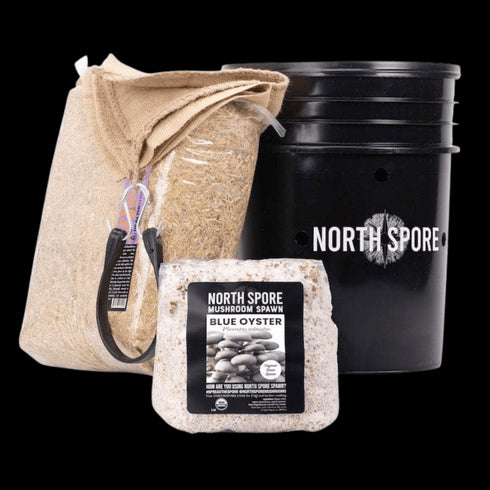 'MushBucket' Mushroom Bucket Grow Kit