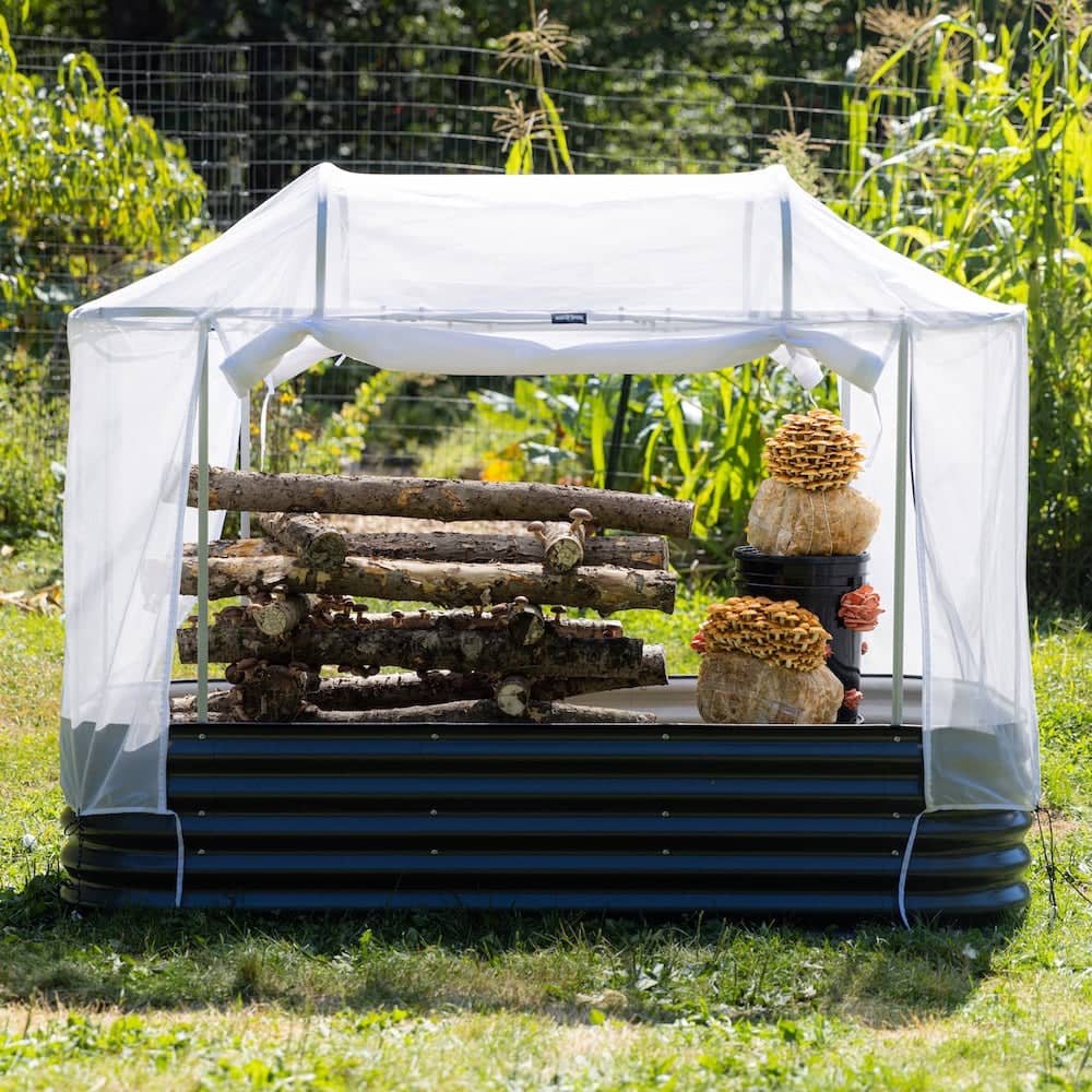 humidity tent for mushrooms MycoSphere