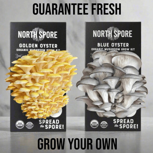 Spray & Grow Kit Subscription