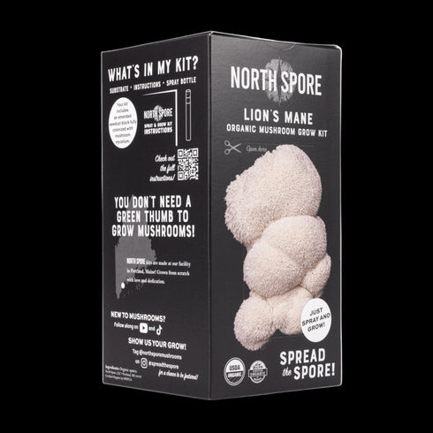 The Ultimate Lion’s Mane Bundle