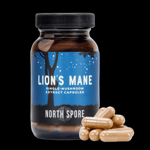 The Ultimate Lion’s Mane Bundle