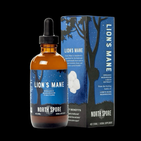 The Ultimate Lion’s Mane Bundle