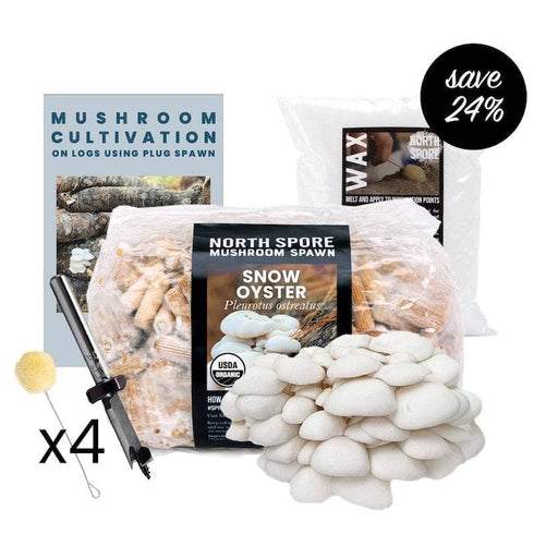 Mushroom Log Beginner Bundle