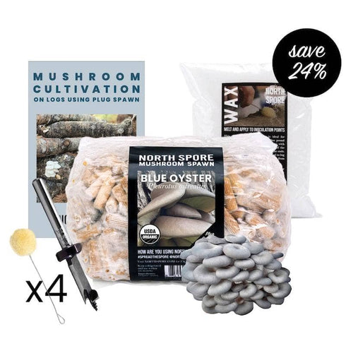 Mushroom Log Beginner Bundle