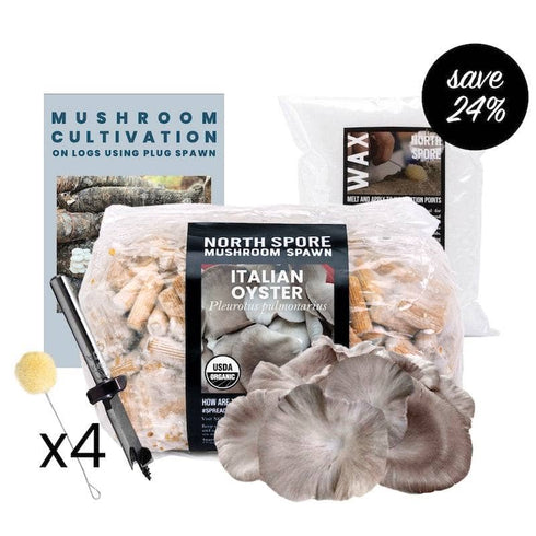 Mushroom Log Beginner Bundle
