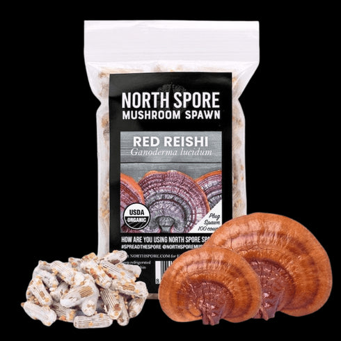 Organic Red Reishi Mushroom Plug Spawn