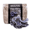 Organic Blue Oyster Mushroom Sawdust Spawn