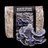 Organic Blue Oyster Mushroom Sawdust Spawn