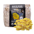 Organic Golden Oyster Mushroom Sawdust Spawn