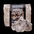 Organic Italian Oyster Mushroom Sawdust Spawn
