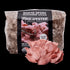 Organic Pink Oyster Mushroom Sawdust Spawn