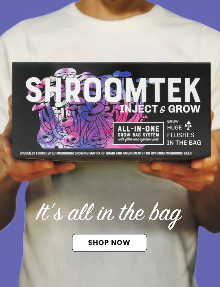 shroomtek all in one grow bag