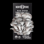 Organic Blue Oyster ‘Spray & Grow’ Mushroom Growing Kit