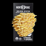 Organic Golden Oyster ‘Spray & Grow’ Mushroom Growing Kit