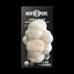 Organic Lion's Mane ‘Spray & Grow’ Mushroom Growing Kit