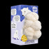 Organic Lion's Mane ‘Spray & Grow’ Polar Bear Mushroom Growing Kit