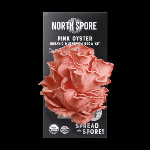 Organic Pink Oyster ‘Spray & Grow’ Mushroom Growing Kit