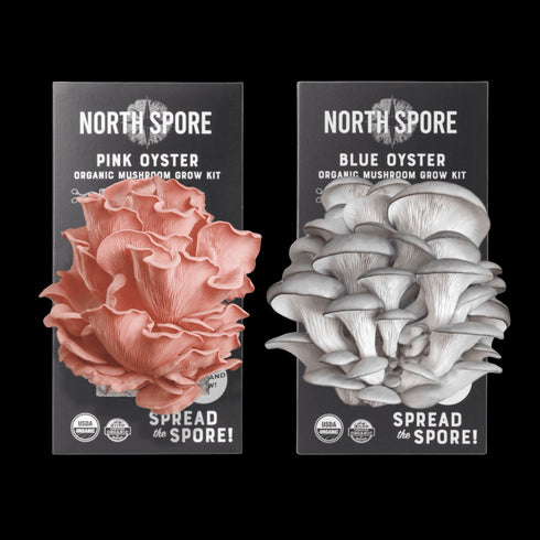 Spray & Grow Kit Subscription