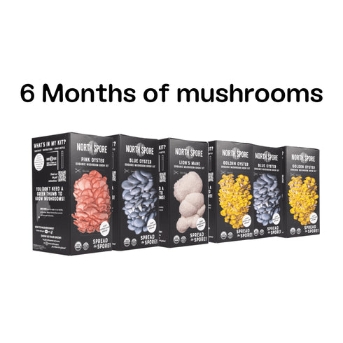 Spray & Grow Kit Subscription - Gift