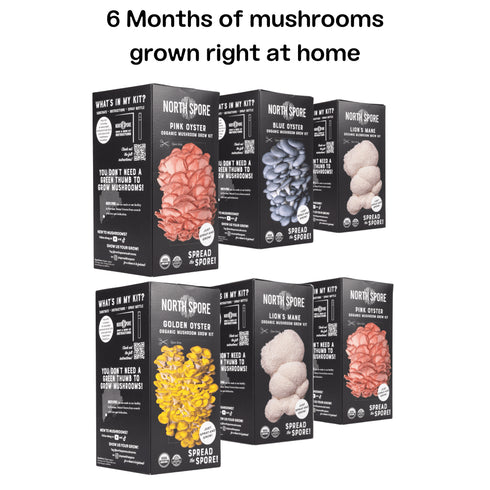 Spray & Grow Kit Subscription - Gift