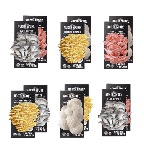 Spray & Grow Kit Subscription - Gift