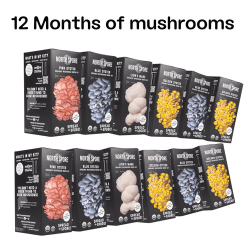 Spray & Grow Kit Subscription - Gift