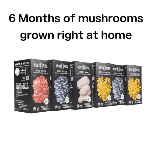 Spray & Grow Kit Subscription - Gift