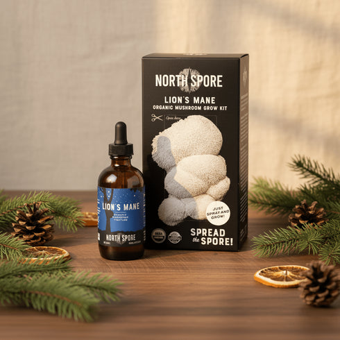 Lion's Mane Mushroom Lover Grow Kit & Tincture Set