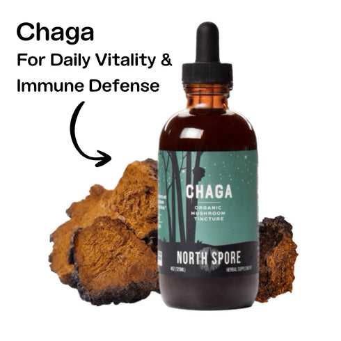 Mind & Body Mushroom Tincture Variety Pack (Large)