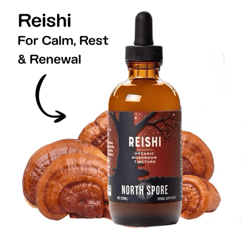 Mind & Body Mushroom Tincture Variety Pack (Large)