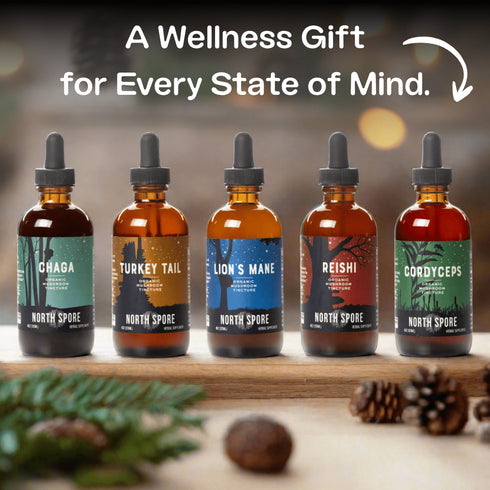 Mind & Body Mushroom Tincture Variety Pack (Large)