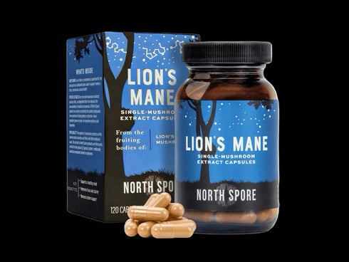 Mushroom Mornings Gift Bundle | Coffee & Lion’s Mane for Focus, Energy & Balance