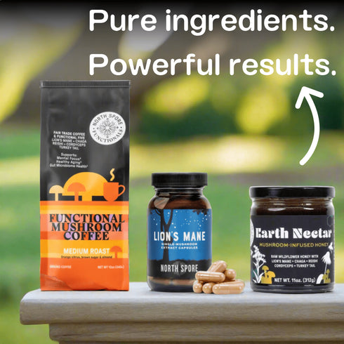 Mushroom Mornings Gift Bundle | Coffee & Lion’s Mane for Focus, Energy & Balance
