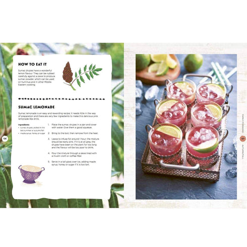 Family Foraging: A Fun Guide to Eating Wild Plants