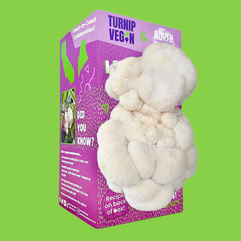 Turnip Vegan Lion's Mane Mushroom Grow Kit + Book Set