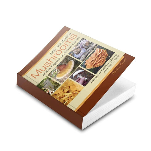 Edible & Medicinal Mushrooms of New England