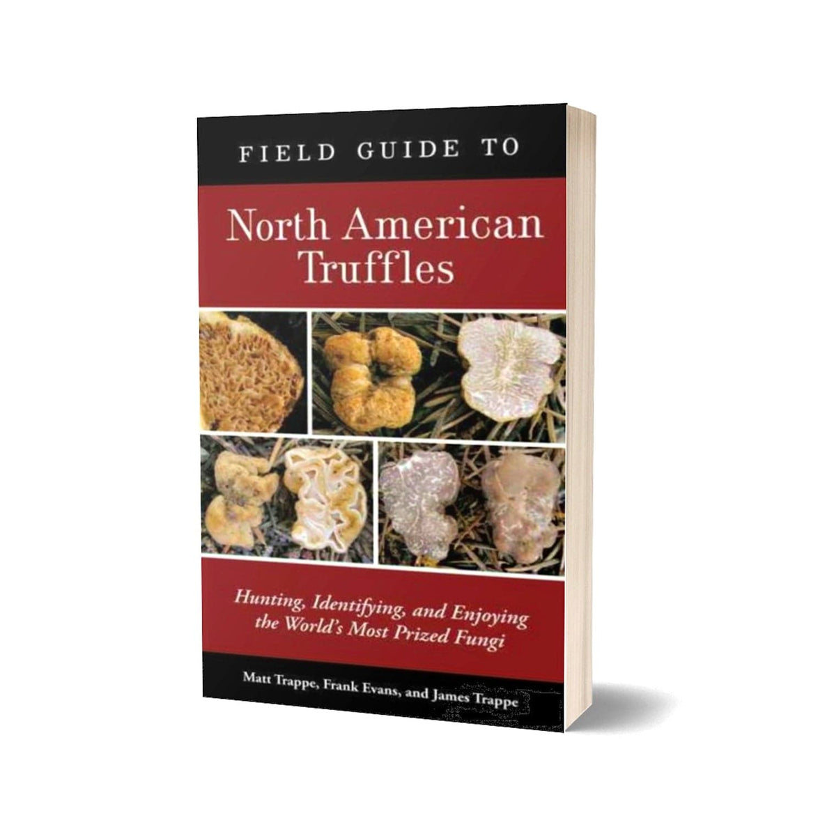 Field Guide to North American Truffles North Spore