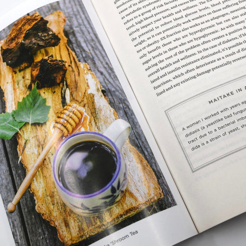Healing Mushrooms: A Practical & Culinary Guide
