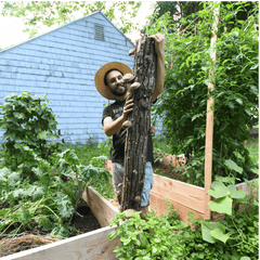 The Best Mushrooms to Grow Outdoors: Seasonal Guide